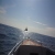 Shipping & Chartering